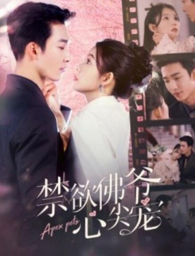 《禁欲佛爷心尖宠》短剧高清全集免费在线观看