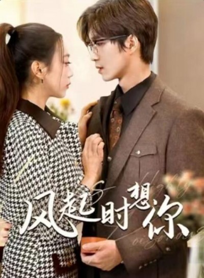《风起时想你》免费在线观看短剧高清全集完整版