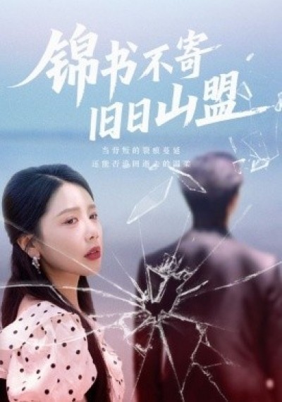 《锦书不寄旧日山盟》免费在线观看短剧高清全集完整版