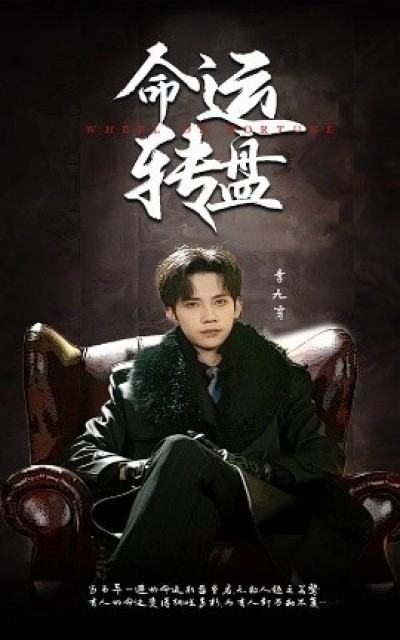 《命运转盘》免费在线观看短剧高清全集完整版