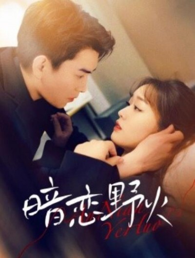《暗恋野火》免费在线观看短剧高清全集完整版