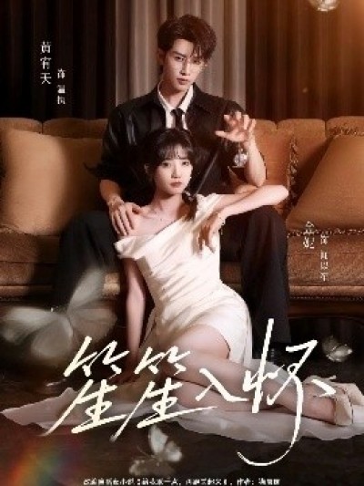 《笙笙入怀》免费在线观看短剧高清全集完整版