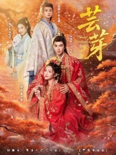 《芸芽》免费在线观看短剧高清全集完整版