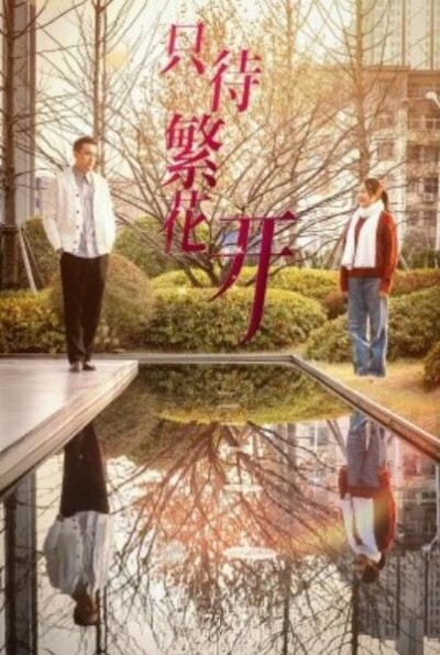 《只待繁花开》短剧高清全集免费在线观看