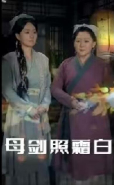 《霜陨芦花泪湿衣》免费在线观看短剧高清全集完整版