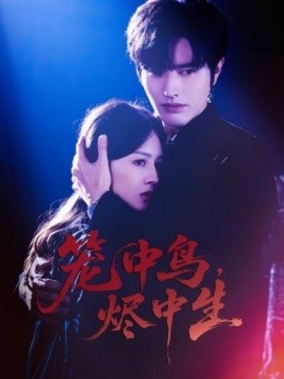 《笼中鸟，烬中生》免费在线观看短剧高清全集完整版