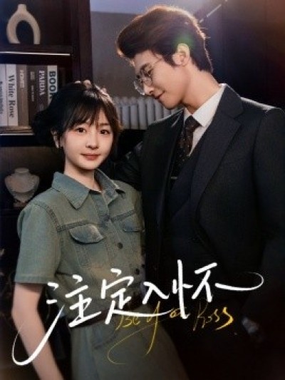 《注定入怀》免费在线观看短剧高清全集完整版