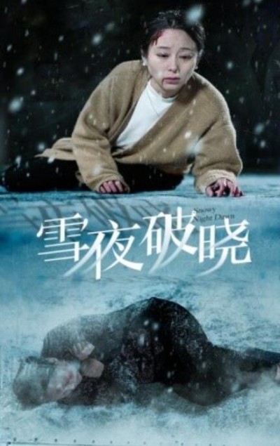 《雪夜破晓》短剧高清全集免费在线观看
