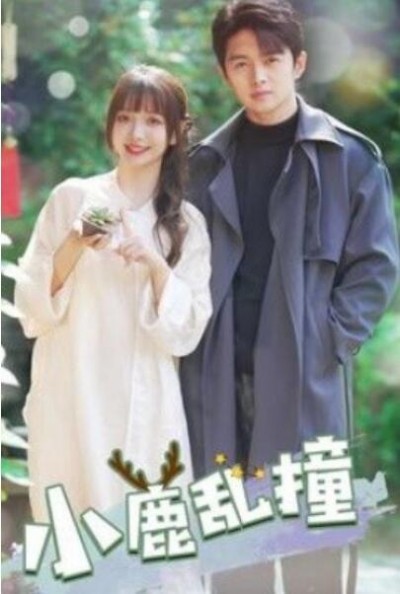 《小鹿乱撞》免费在线观看短剧高清全集完整版
