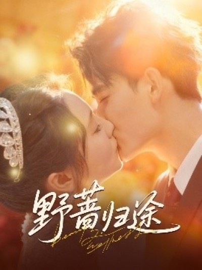 《野蔷归途》免费在线观看短剧高清全集完整版