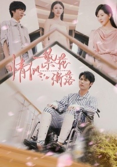 《情似繁花渐落》免费在线观看短剧高清全集完整版