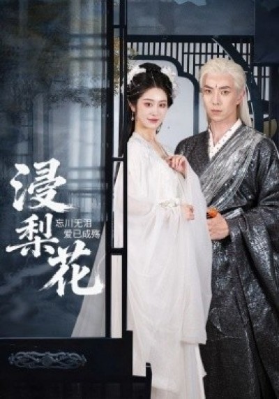 《浸梨花》免费在线观看短剧高清全集完整版