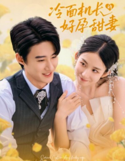 《冷面机长的好孕甜妻》短剧高清全集免费在线观看