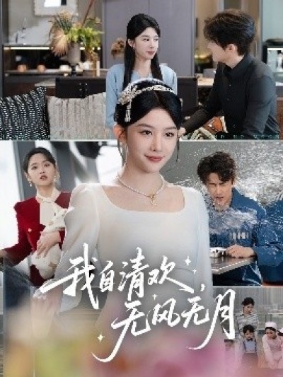 《我自清欢，无风无月》免费在线观看短剧高清全集完整版