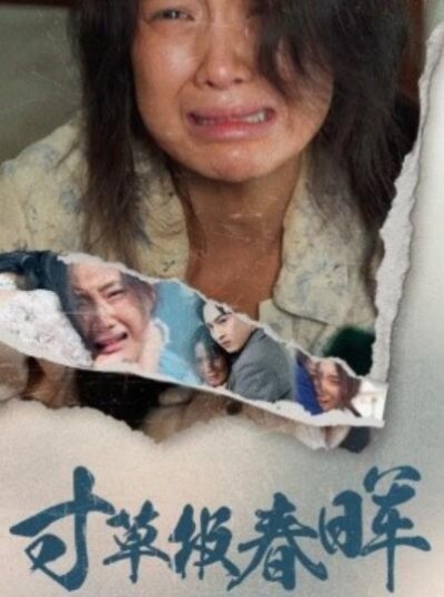 《寸草报春晖》短剧高清全集免费在线观看
