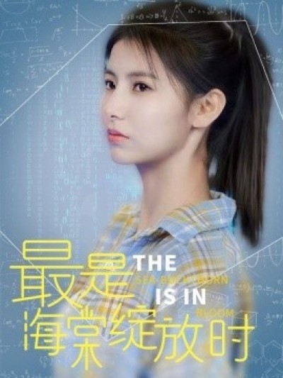 《最是海棠绽放时》免费在线观看短剧高清全集完整版