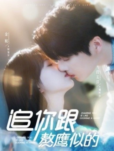 《追你跟熬鹰似的》免费在线观看短剧高清全集完整版