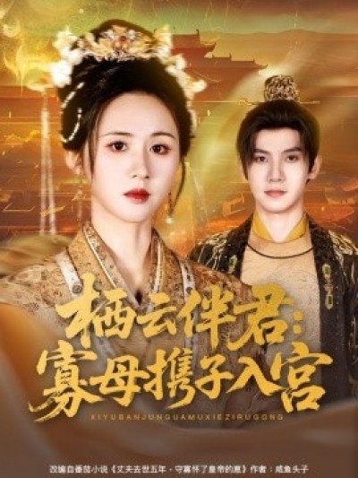 《栖云伴君：寡母携子入宫》免费在线观看短剧高清全集完整版