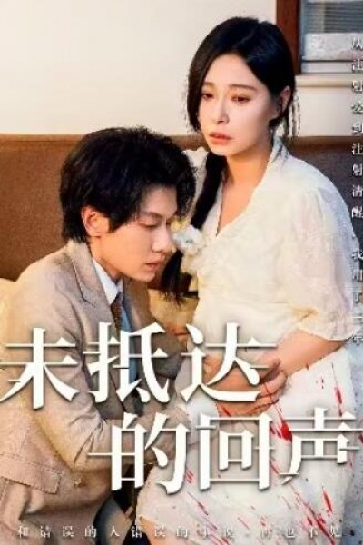 《未抵达的回声》免费在线观看短剧高清全集完整版