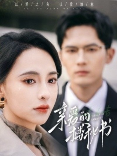 《亲爱的楼秘书》免费在线观看短剧高清全集完整版