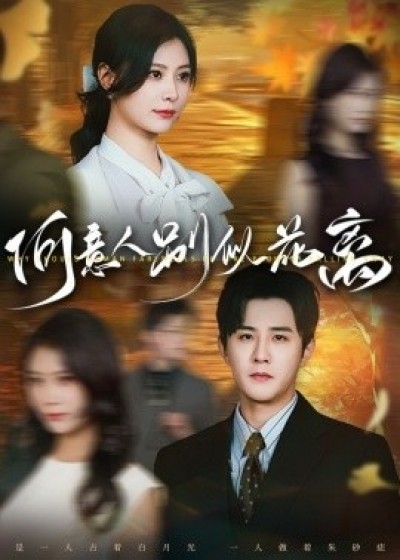 《何意人别似花离》免费在线观看短剧高清全集完整版