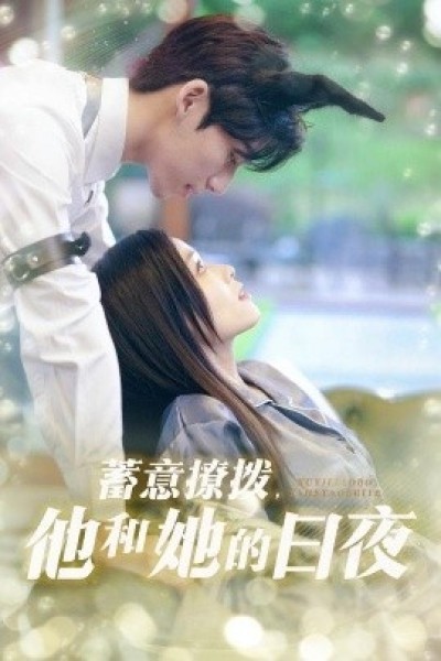《蓄意撩拨，他和她的日夜》免费在线观看短剧高清全集完整版