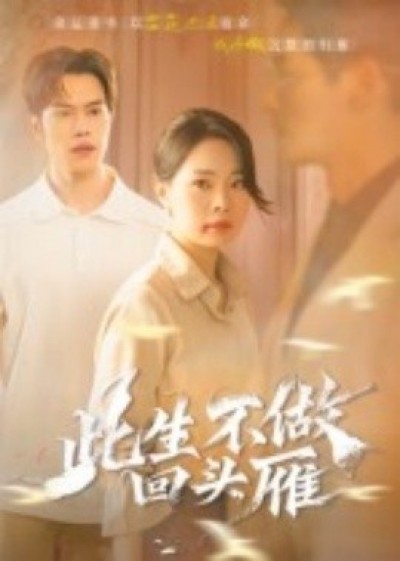 《此生不做回头雁》免费在线观看短剧高清全集完整版