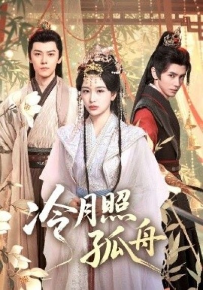 《冷月照孤舟》免费在线观看短剧高清全集完整版