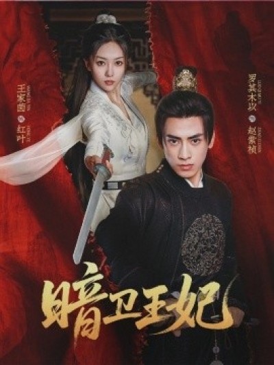 《暗卫王妃》免费在线观看短剧高清全集完整版