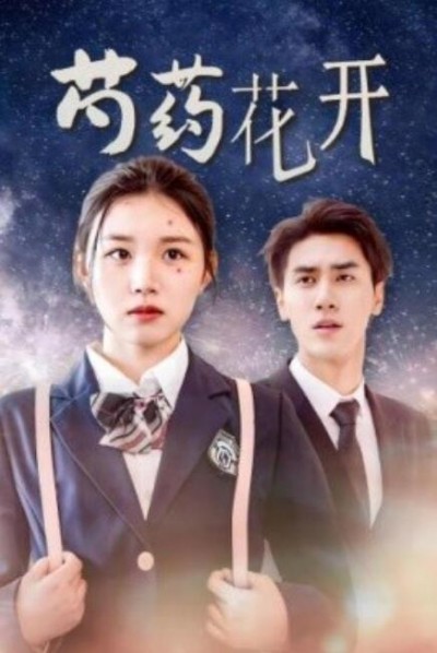 《芍药花开》短剧高清全集免费在线观看
