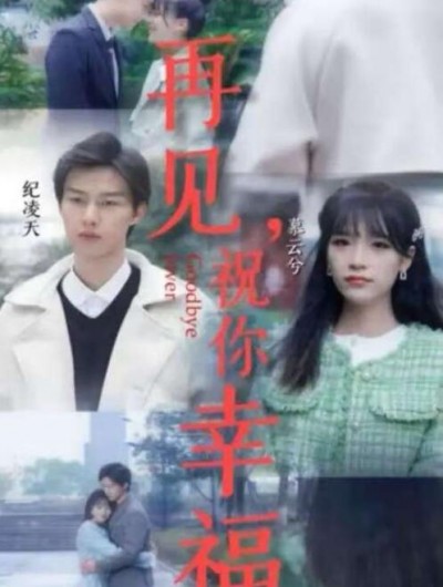 《再见，祝你幸福》短剧高清全集免费在线观看