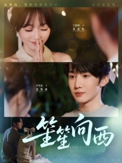 《笙笙向西》免费在线观看短剧高清全集完整版