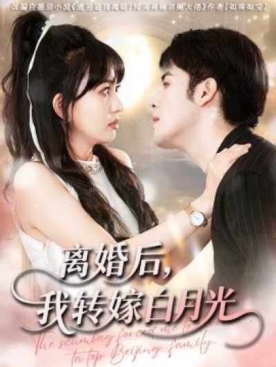 《离婚后，我转嫁白月光》免费在线观看短剧高清全集完整版
