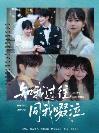 《知我过往同我啜泣》免费在线观看短剧高清全集完整版