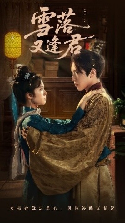 《雪落又逢君》免费在线观看短剧高清全集完整版