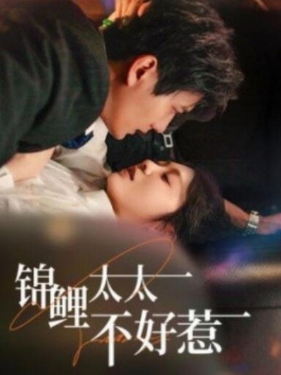《锦鲤太太不好惹》短剧高清全集免费在线观看
