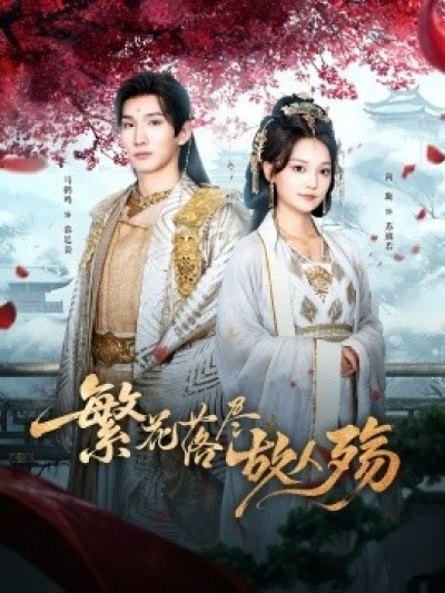 《繁花落尽故人殇》免费在线观看短剧高清全集完整版