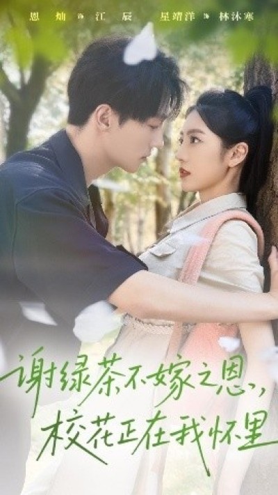 《谢绿茶不嫁之恩,校花正在我怀里》免费在线观看短剧高清全集完整版