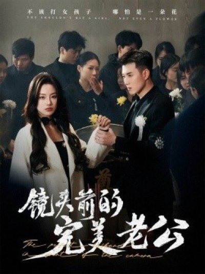 《镜头前的完美老公》免费在线观看短剧高清全集完整版