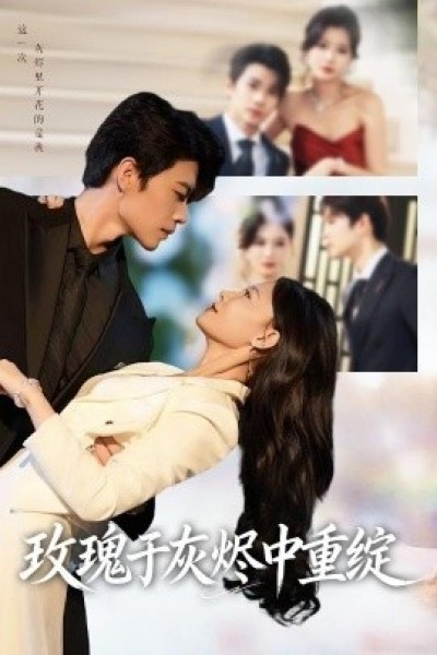 《玫瑰于灰烬中重绽》免费在线观看短剧高清全集完整版