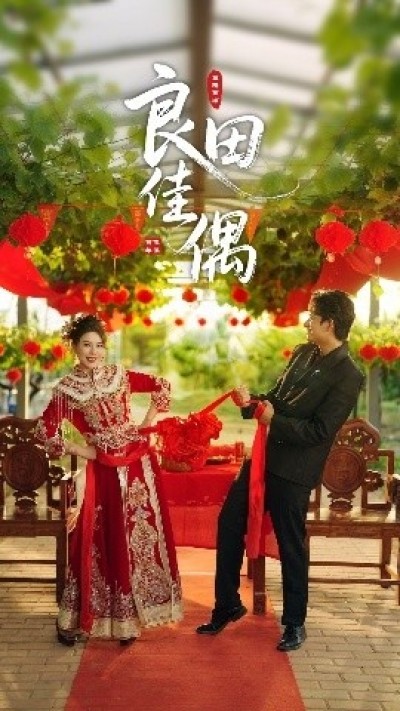 《良田佳偶》免费在线观看短剧高清全集完整版
