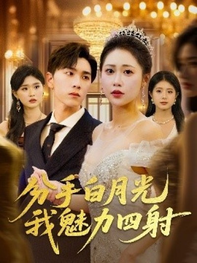 《分手白月光我魅力四射》免费在线观看短剧高清全集完整版