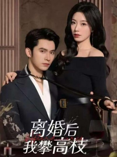 《离婚后攀高枝》免费在线观看短剧高清全集完整版