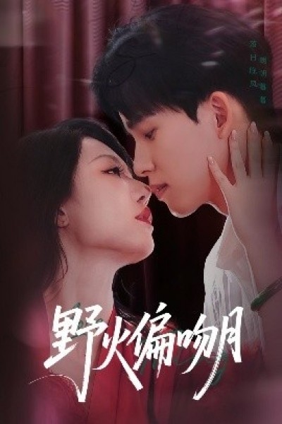 《野火偏吻月》免费在线观看短剧高清全集完整版