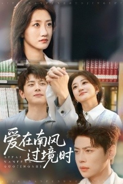 《爱在南风过境时》免费在线观看短剧高清全集完整版