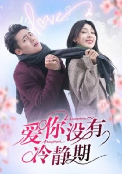 《爱你没有冷静期》短剧高清全集免费在线观看播放完整版