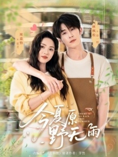 《今夏原野无雨》免费在线观看短剧高清全集完整版