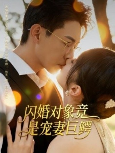 《闪婚对象竟是宠妻巨鳄》免费在线观看短剧高清全集完整版