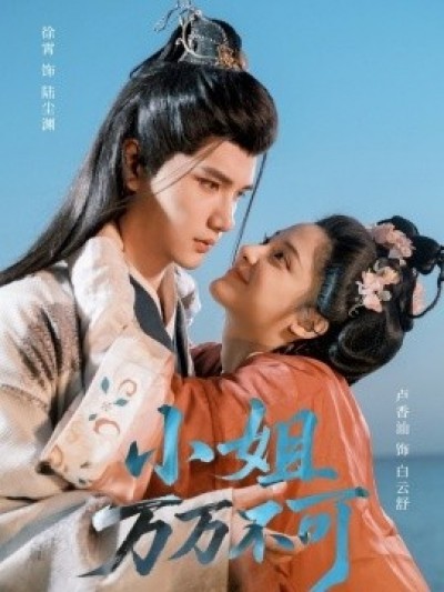 《小姐万万不可》免费在线观看短剧高清全集完整版