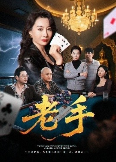 《老手》免费在线观看短剧高清全集完整版